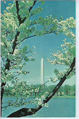Vintage Postcard of The Washington Monument, Washington D.C. $10.00