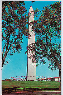 Vintage Postcard of The Washington Monument, Washington D.C. $10.00