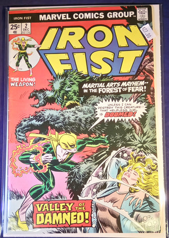 Iron Fist Issue # 2 Marvel Comics $27.00