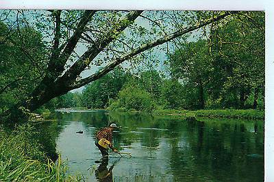Vintage Postcard of Anxious Moments, Pennsylvania $10.00