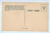 Parrot Jungle, Miami Florida Postcard UNUSED $4.00