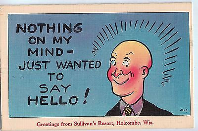 Vintage Postcard of Geeting from Sullivan's Resort, Holcombe, WI $10.00