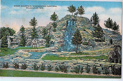 Vintage Postcard of Sheep Mountain, Washington Park Zoo, Milwaukee, WI $10.00