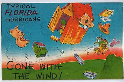 Vintage Postcard of a Florida Hurricane $10.00