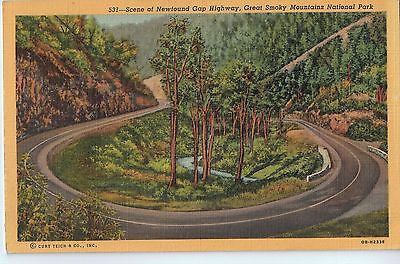 Vintage Postcard of Newfound Gap Highway, Great Smoky Mountains National Park $10.00