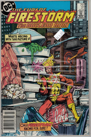 Fury of Firestorm Issue # 37 DC Comics $4.00