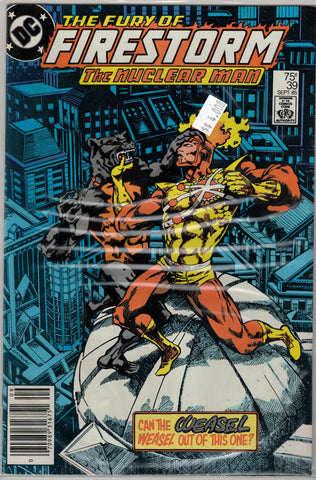 Fury of Firestorm Issue # 39 DC Comics $4.00
