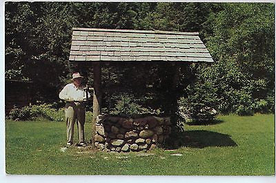 Vintage Postcard of The Wishing Well at Ed Gabe's Resort, Sayner, WI $10.00