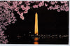 Vintage Postcard of The Washington Monument $10.00