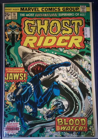 Ghost Rider Issue # 16 Marvel Comics $20.00