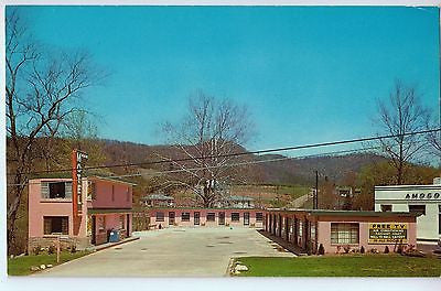 Vintage Postcard of The Alaine Motel in Asheville, NC $10.00