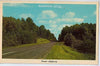 Vintage Postcard of Scenic Highway in Harrison, MI $10.00