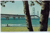 Vintage Postcard of Mackinac Bridge, MI $10.00