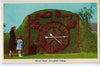 Vintage Postcard of Floral Clock, Greenfield Village, MI $10.00