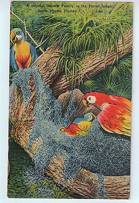 Parrot Jungle, Miami Florida Postcard UNUSED $4.00