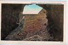 Vintage Postcard of Entrance of Mammoth Cave, KY $10.00