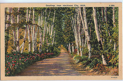 Vintage Postcard of Mackinaw City, MI $10.00