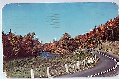 Vintage Postcard of Nature's Artistry $10.00