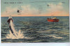 Vintage Postcard of Tarpon Fishing in Florida $10.00