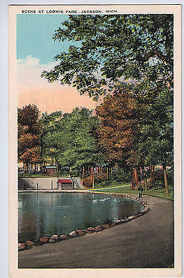 Vintage Postcard of Scene at Loomis Park in Jackson, MI $10.00