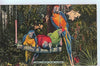 Vintage Postcard of Parrot Jungle, Miami, Florida $3.00