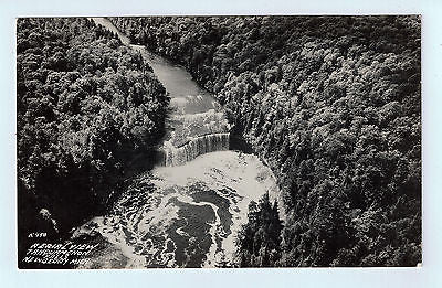 Vintage Picture Postcard of Tahquamenon Falls in Newberry MI $10.00