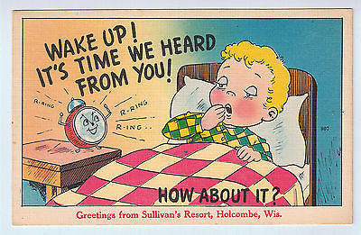 Greetings From Sullivan's Resort, Holcombe, WI Postcard UNUSED $7.00