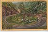 Vintage Postcard of Newfound Gap Highway, Great Smoky Mountains National Park $10.00