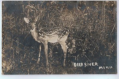 Vintage Postcard of A Deer in, Deer River, MN $10.00