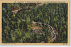 Vintage Postcard of Loop Over on Newfound Gap Highway Great Smoky Mnt NP $10.00