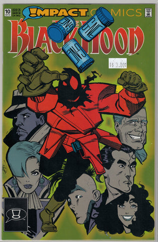 Black Hood Issue #10 Impact/DC Comics $3.00