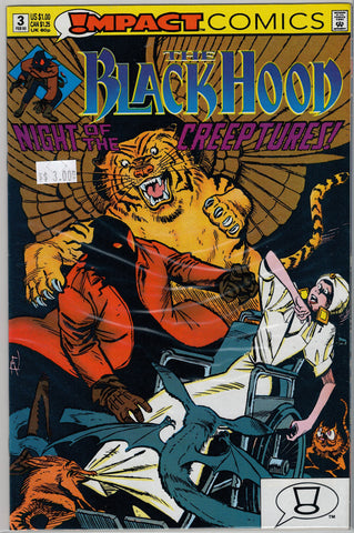 Black Hood Issue # 3 Impact/DC Comics $3.00