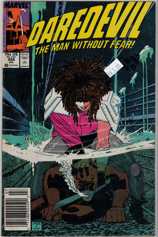 Daredevil Issue # 256 Marvel Comics $5.00
