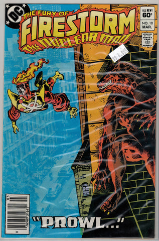 Fury of Firestorm Issue # 10 DC Comics $3.00