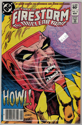 Fury of Firestorm Issue # 12 DC Comics $4.00