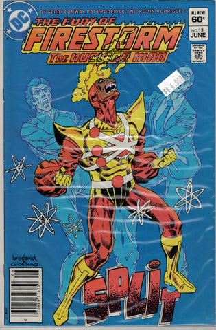 Fury of Firestorm Issue # 13 DC Comics $4.00