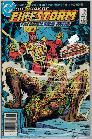 Fury of Firestorm Issue # 19 DC Comics $4.00