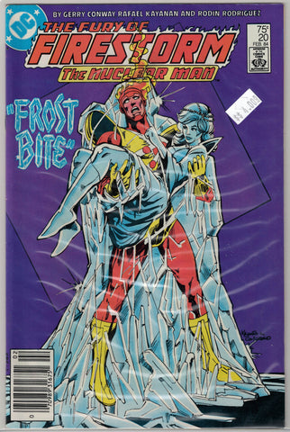 Fury of Firestorm Issue # 20 DC Comics $3.00