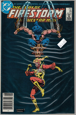 Fury of Firestorm Issue # 26 DC Comics $4.00