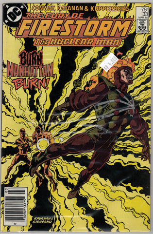 Fury of Firestorm Issue # 33 DC Comics $4.00