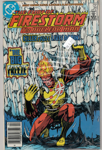 Fury of Firestorm Issue # 34 DC Comics $4.00