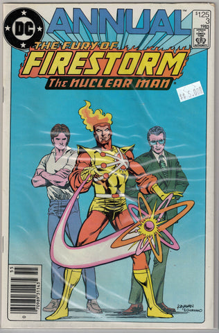 Fury of Firestorm, Issue # Annual 3 DC Comics $5.00