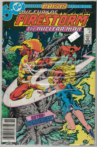 Fury of Firestorm Issue # 41 DC Comics $4.00