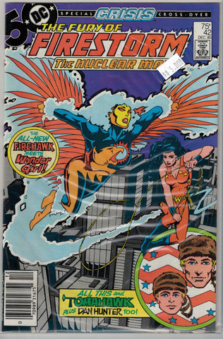 Fury of Firestorm Issue # 42 DC Comics $5.00