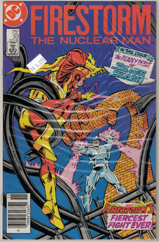 Fury of Firestorm Issue # 53 DC Comics $4.00