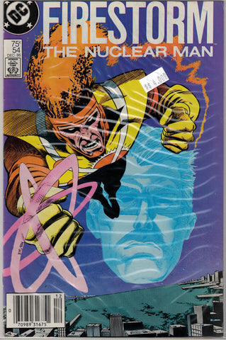 Fury of Firestorm Issue # 54 DC Comics $4.00