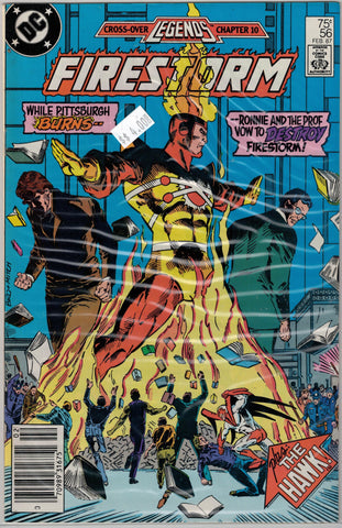 Fury of Firestorm Issue # 56 DC Comics 43.00