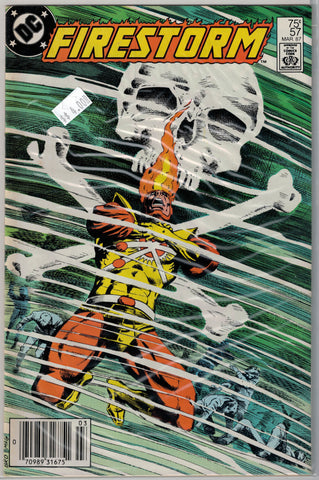 Fury of Firestorm Issue # 57 DC Comics $4.00