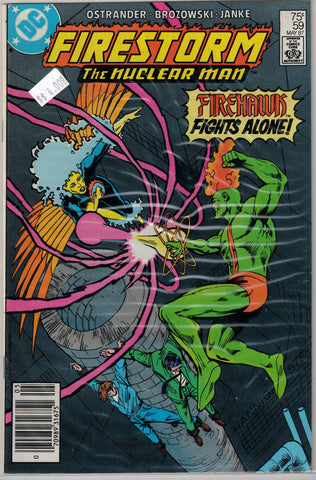 Fury of Firestorm Issue # 59 DC Comics $4.00