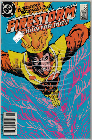 Fury of Firestorm Issue # 60 DC Comics $4.00